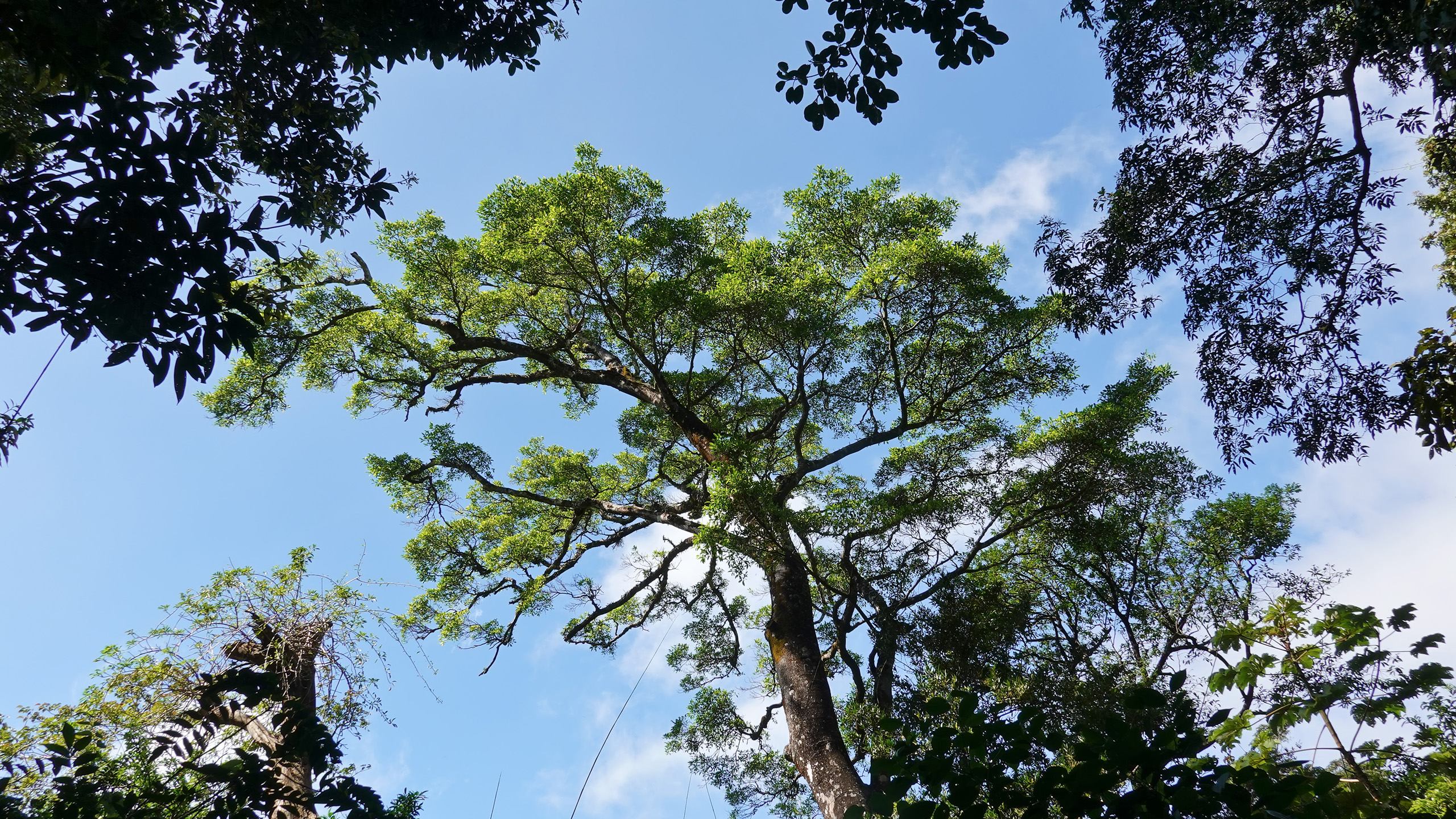Baupanorama im Parque Nacional Rincón de la Vieja